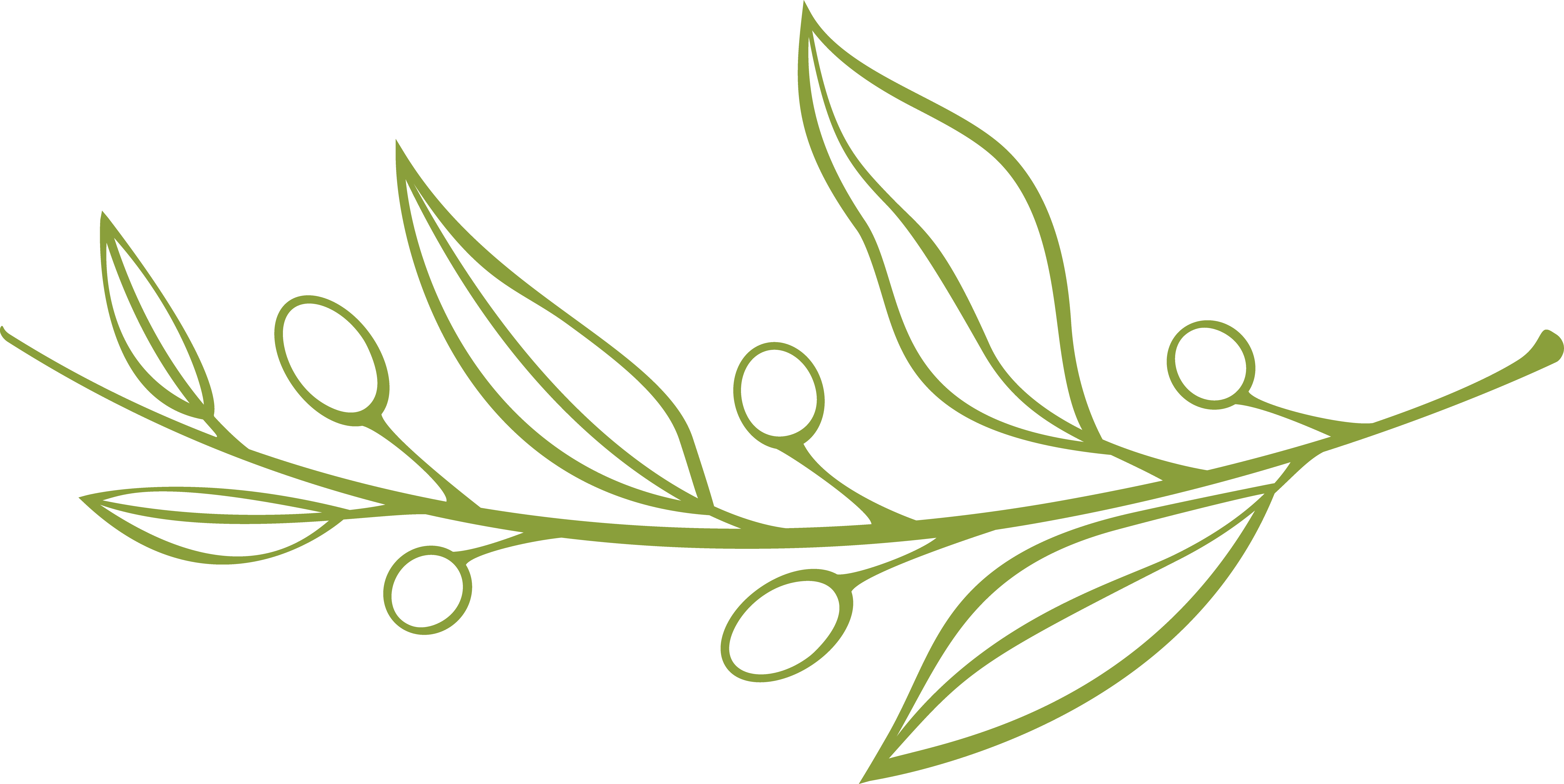 – State College Aesthetics