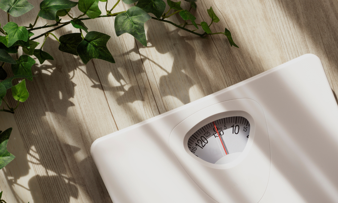 A scale on a wood floor with green leafy vine plan beside the scale advertising GPL-1