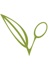 – State College Aesthetics